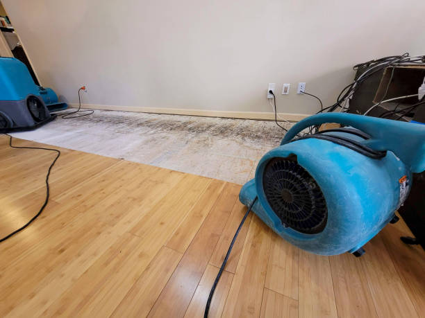 Professional Emergency Water Damage technician working in Mebane, NC